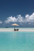 Lunch in het paradijs (Turquoise Delight)