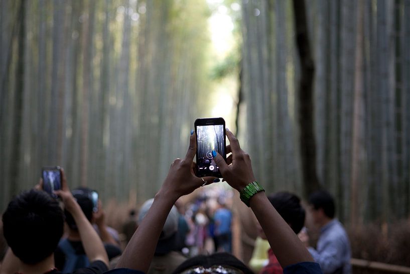 Kyoto Sagano bamboo forest by Kees van Dun