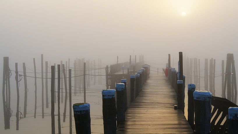 Brume dorée du matin au port solitaire par Bodo Balzer