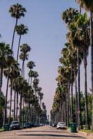 Les rues de Beverly Hills sont spéciales
