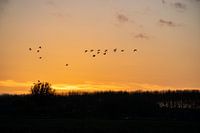 Folgen Sie der Sonne