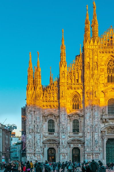 Milan von Hello Pompoyo