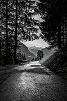 Light at the End of the Road....