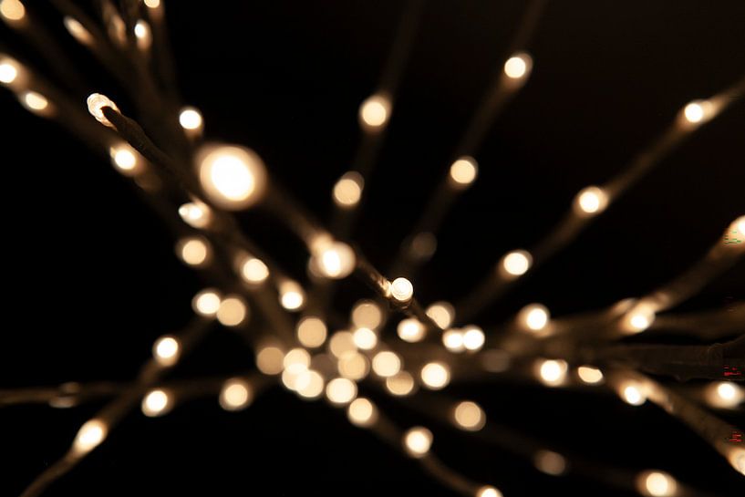 Licht von Jan de Jong