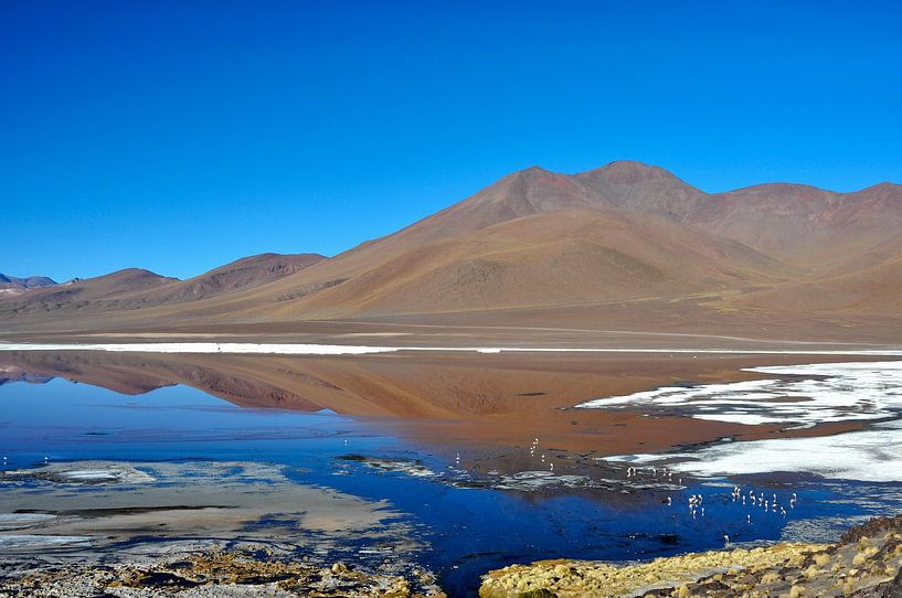 Laguna Colorada: Bolivia's natural beauty by Frank Photos