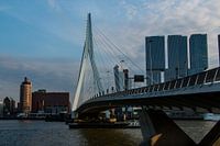Rotterdam Erasmusbrug