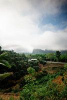 Vroege ochtend mist voor de bergen in Khao Sok, Thailand