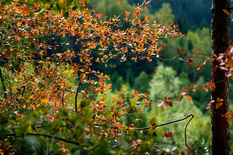 Eine schöne Zeit im Jahr von Richard Marks