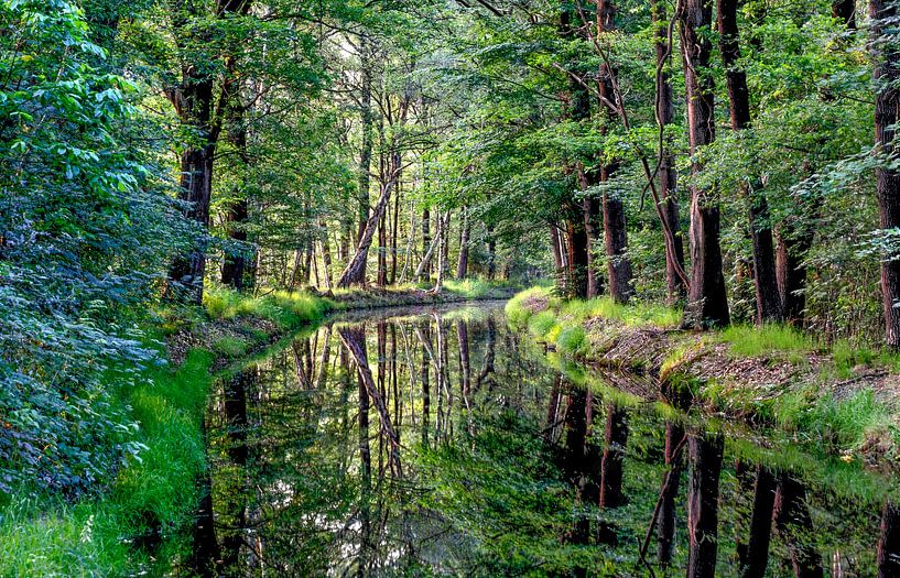 Spiegel  von Jamie Lebbink