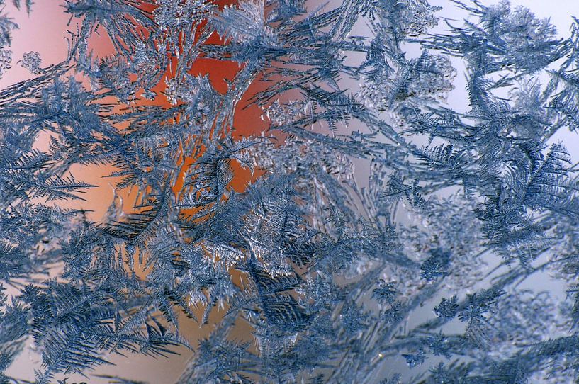 Tribal Ice #01 by Fabrizio Gallo