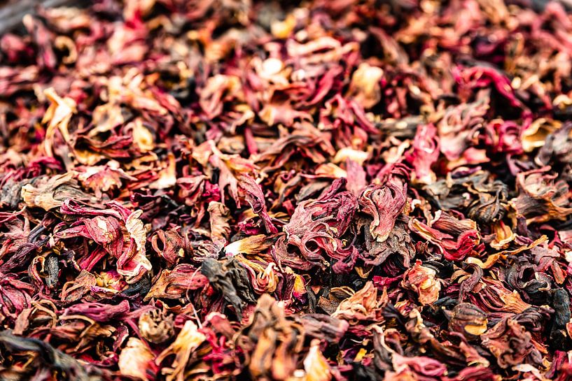 Macro close up with details of hibiscus tea flower of mallow by Dieter Walther