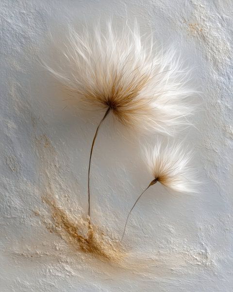 Wanddecoratie met paardenbloemzaad, Minimalistische kunstprint, Scandinavisch decor, crèmekleurig en goudkleurig, moderne wanddecoratie, fine art print, cadeau voor alle leeftijden van Beeld Creaties Ed Steenhoek | Fotografie en Kunstmatige Beelden