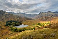 Blea Tarn, Lake District