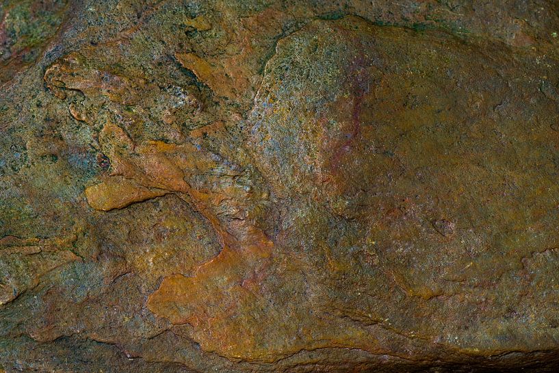 De waarheid staat geschreven in steen par Cilia Brandts