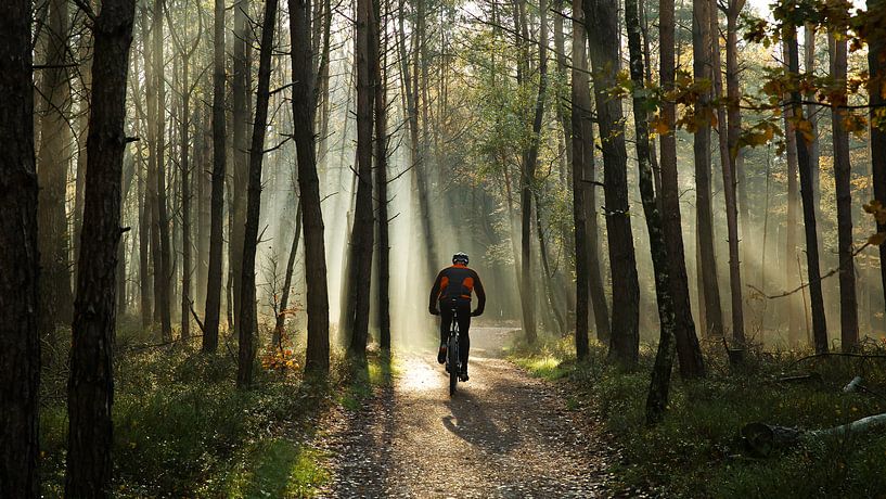 Early cyclist in the forest at sunrise by Saranda in t Veld Fotografie