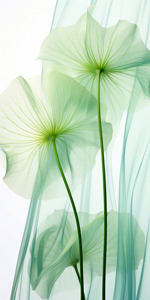 Danse des fleurs par Preet Lambon