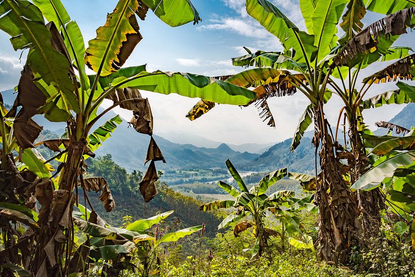 Schauen Sie durch die Landschaft von Laos von Rietje Bulthuis