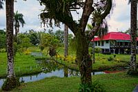 Maison du directeur à la plantation de Frederiksdorp