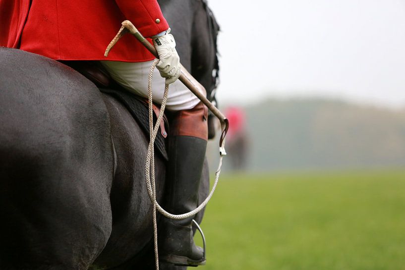 Whipp par Wybrich Warns