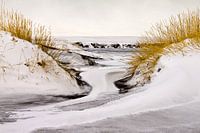IJsland, sneeuwduinen met lavastrand