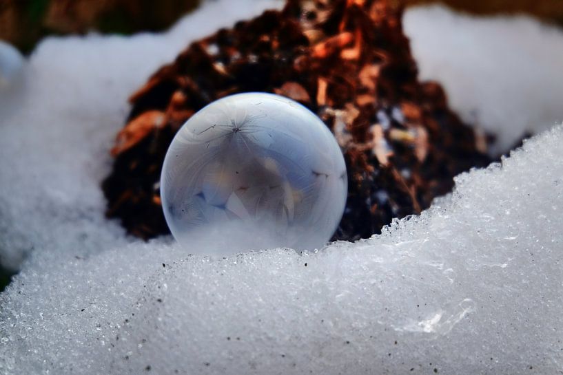 bulle congelée par Edgar Schermaul