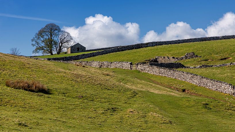 Landscape in the English Dales by Adelheid Smitt