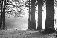 Sonnenaufgang an einem nebligen Morgen