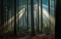 Niet van deze wereld