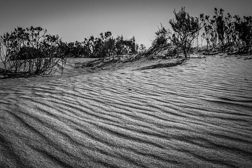 Zand golven in Australie von Family Everywhere