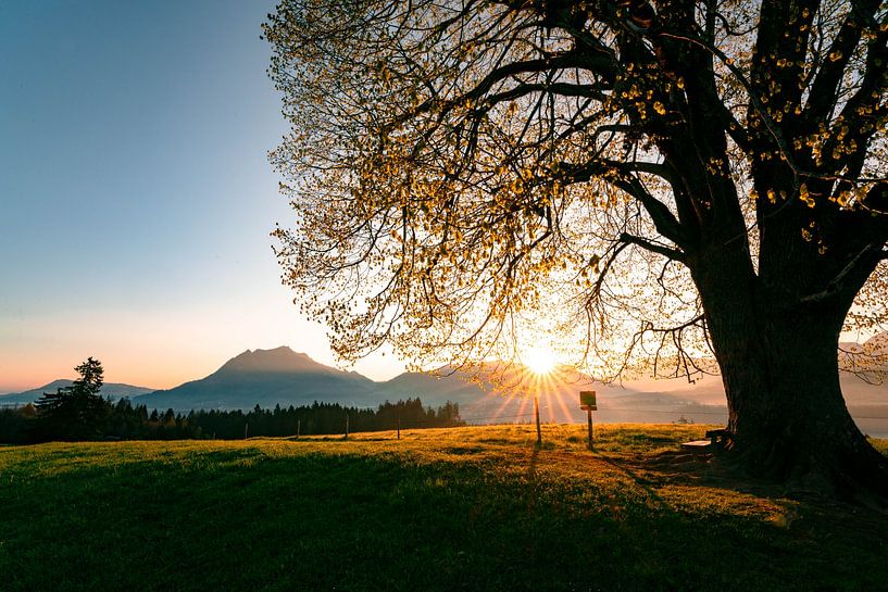 Sonnenaufgang mit Blick auf den Grünten von Leo Schindzielorz