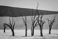 Deaf flat black and white