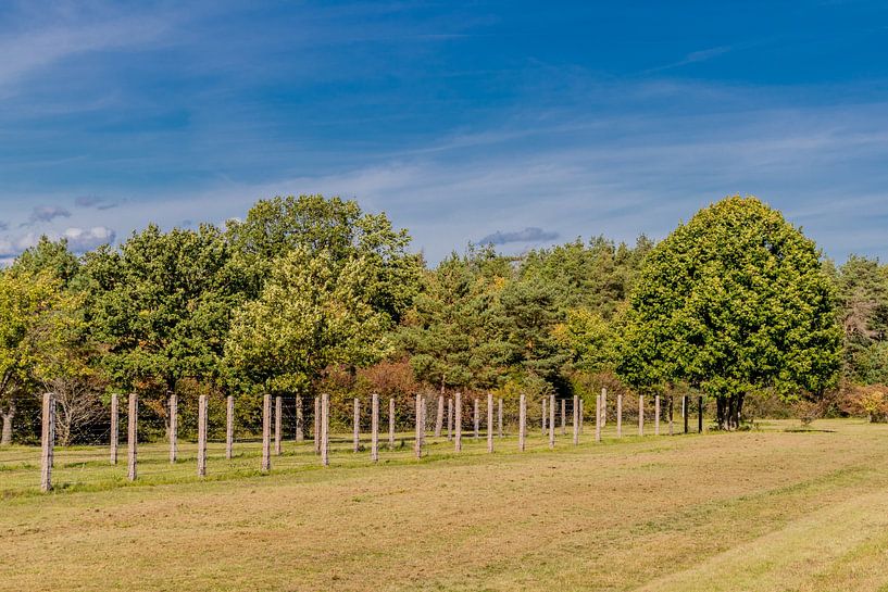 Promenade au mémorial de Point Alpha par Oliver Hlavaty