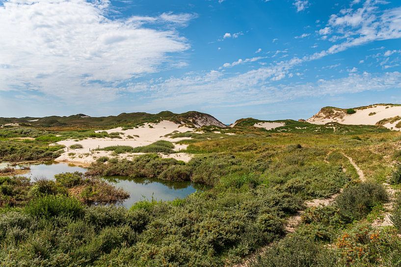 Die Egmonder Dünen von Rob Donders Beeldende kunst
