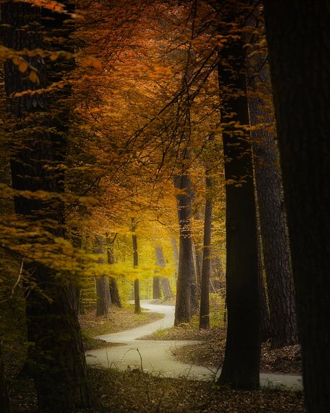 Mood Swings par Kees van Dongen