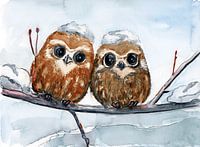 Two baby owls in the snow