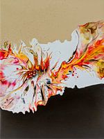 Erfreulich für das Auge