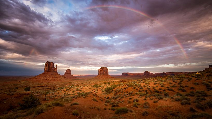 Monument Valley Regenboog von Edwin Mooijaart