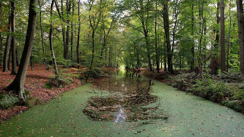 Bossloot von Frank de Ridder