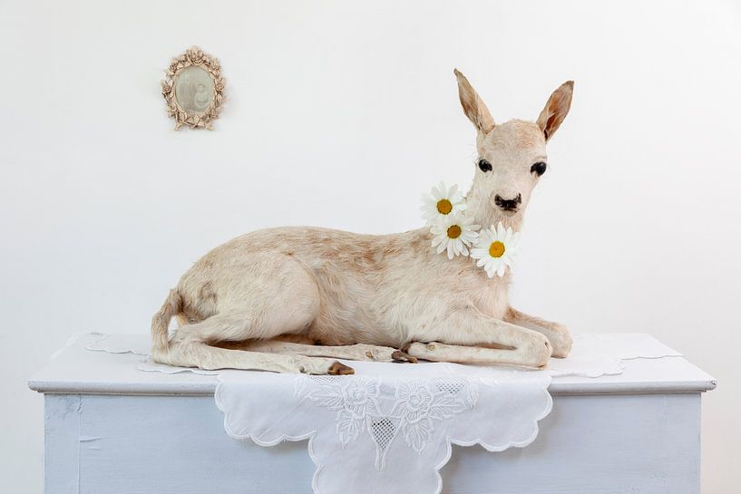 Ein unerwarteter Gast von Diane Cruysberghs