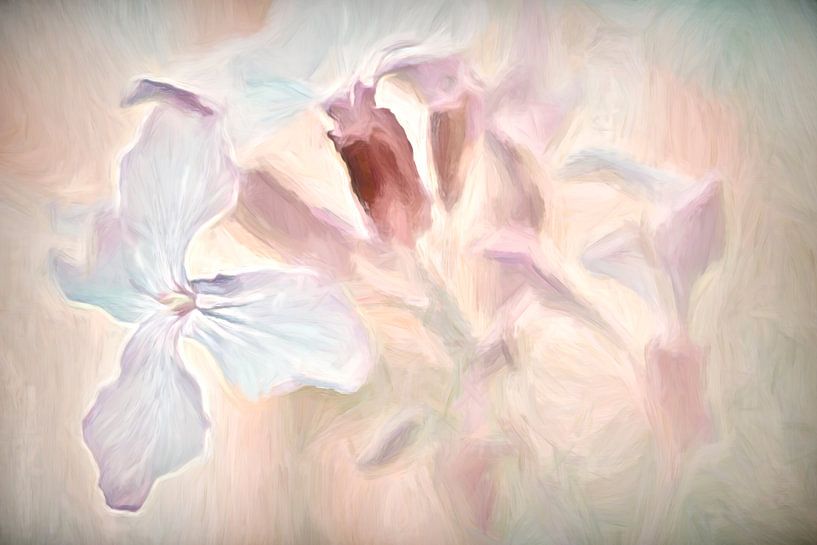 fleurs sauvages au pastel par Francis Dost