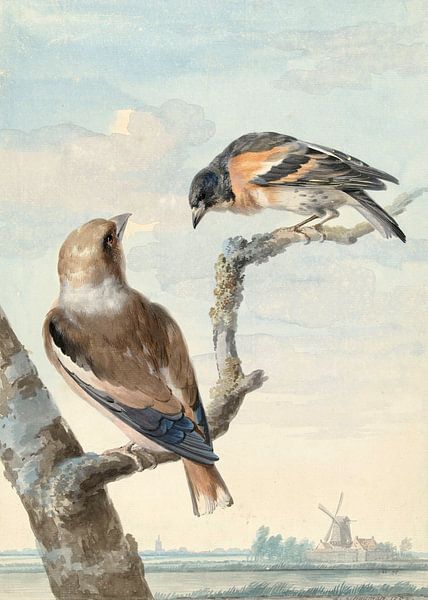 Two birds: an apple chaffinch  and a keep, Aert Schouman by Masterful Masters