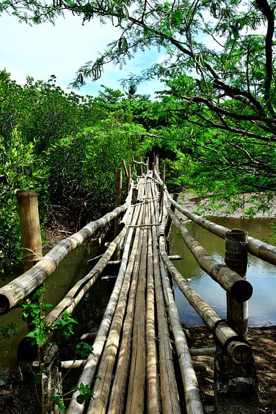 Rustic bamboo bridge in the Philippines by Frank Photos