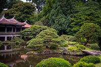 Traditional Japanese garden