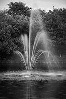 fontaine dans un paysage en noir et blanc