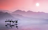 Flamingos Sunset