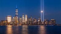 Tribute in light