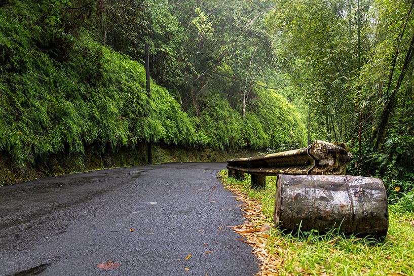 Straße durch den tropischen Regenwald kurz nach den Regenfällen von Bart Hagebols