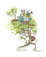 Baum, der seine Wurzeln woanders schlagen will