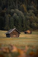 Herbst Wald Sonnenaufgang