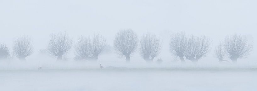 Vreugderijkerwaard dans le brouillard par Erik Veldkamp